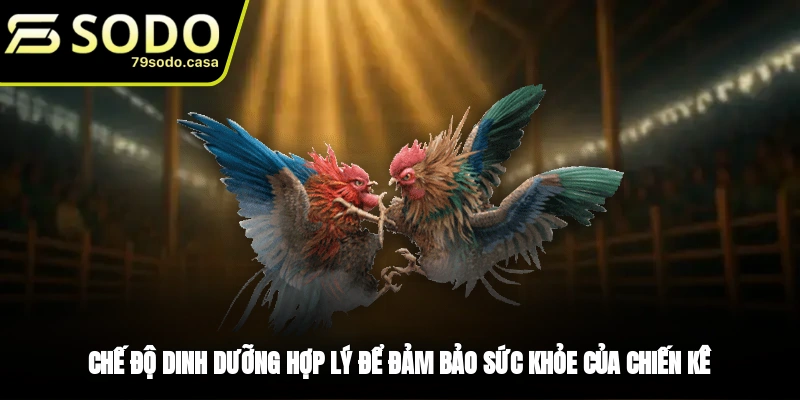 Xây dựng chế độ dinh dưỡng hợp lý khi nuôi gà đá