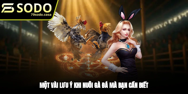 Một vài lưu ý khi nuôi gà đá