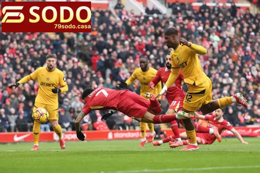 Wolves đi vào lịch sử giải ngoại hạng Anh với thành tích quá tệ. Wolves đi vào lịch sử giải ngoại hạng Anh với thành tích quá tệ.